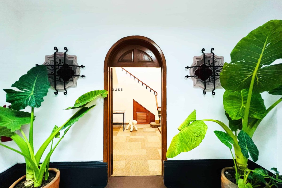 Renta Oficinas CDMX Cowork Polanco Coyoacán Del Valle Parque Hundido