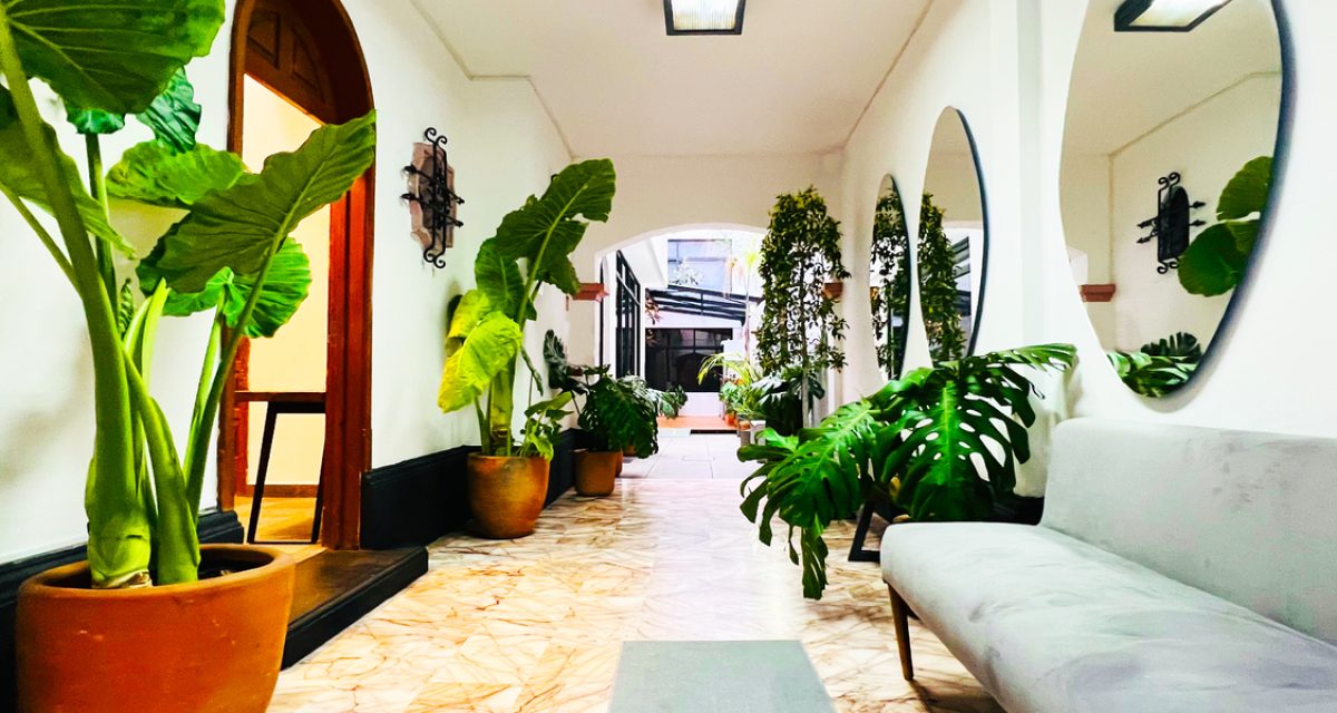 Renta Oficinas CDMX Cowork Polanco Coyoacán Del Valle Parque Hundido