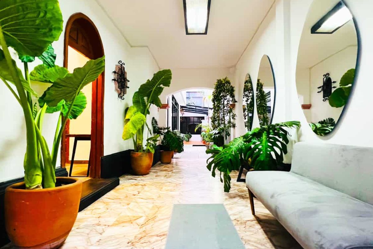 Renta Oficinas CDMX Cowork Polanco Coyoacán Del Valle Parque Hundido
